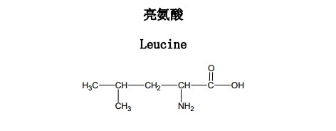 亮氨酸中藥化學對照品分子結構圖
