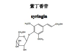 紫丁香苷中藥化學對照品中藥化學對照品