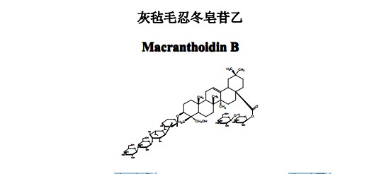 灰氈毛忍冬皂苷乙中藥化學對照品分子結構圖