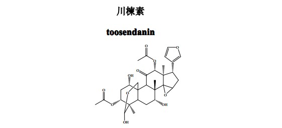 川楝素 （toosendanin）中藥化學對照品