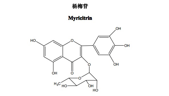 楊梅苷 (Myricitrin)中藥化學(xué)對(duì)照品