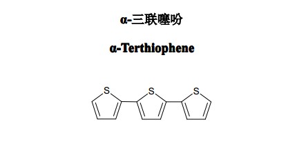 α-三聯噻吩（α-Terthiophene）中藥化學對照品
