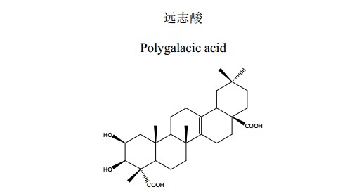 遠志酸(Polygalacicacid)中藥化學對照品