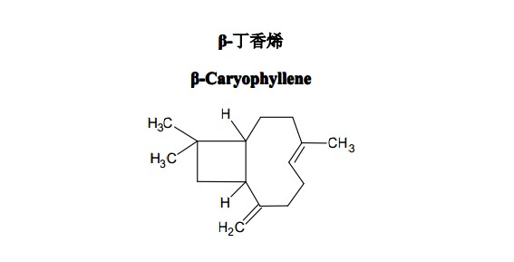 β-丁香烯中藥化學對照品