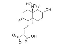 脫水穿心蓮內酯