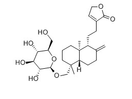 穿心蓮新苷