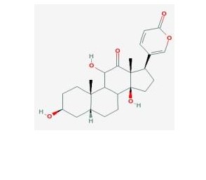 沙蟾毒精對照品標(biāo)準(zhǔn)品