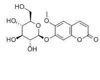 東莨菪苷對照品分子結構圖