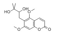 毛兩面針?biāo)貙?duì)照品