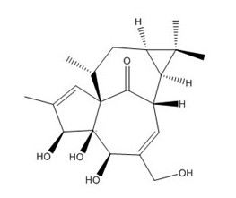 巨大戟醇對(duì)照品