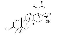熊果酸對照品