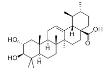 科羅索酸對照品