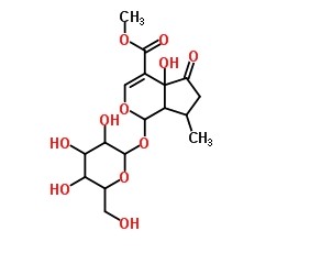 5-羥基馬鞭草苷對照品