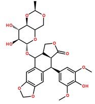 依托泊苷分子結構圖