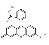 熒光素鈉分子結構圖