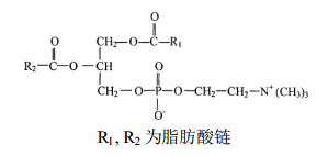 大豆磷脂酰膽堿對照品