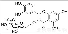 槲皮素-3-O-β-D-葡糖苷酸標準品