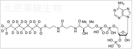 壬酰輔酶A-d17標準品