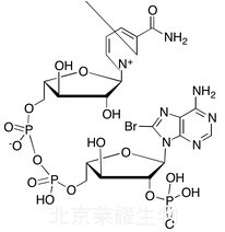 標準品