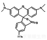 5-Aminotetramethyl Rhodamine標(biāo)準(zhǔn)品