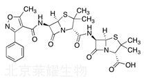 6-APA Oxacillin
