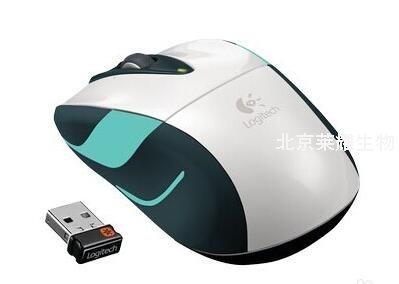 無線鼠標電池怎么換