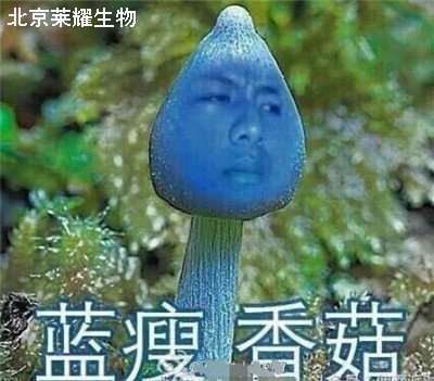 藍瘦香菇是什么意思