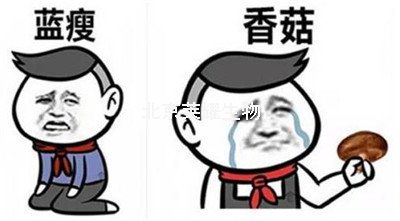 藍瘦香菇是什么意思