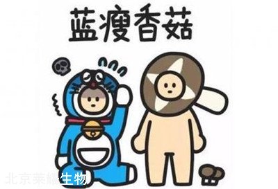 藍瘦香菇是什么意思