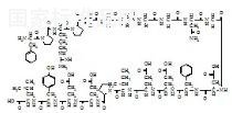 Plus-Gly標準品