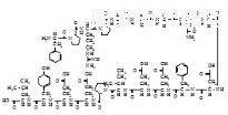 Des-Gly標準品