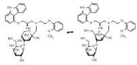 Lactulosyl (R)-Carvedilol標準品