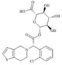 Clopidogrel Acyl-beta-D-Glucuronide