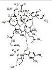 氰鈷胺雜質(zhì)D標(biāo)準(zhǔn)品