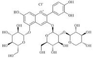 矢車菊素-3-桑布雙糖苷-5-葡萄糖苷標(biāo)準(zhǔn)品