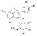 矢車菊素-3-O-葡萄糖苷標(biāo)準(zhǔn)品