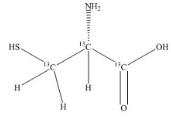乙酰半胱氨酸EP雜質(zhì)B-13C3(L-半胱氨酸-13C3)標(biāo)準(zhǔn)品