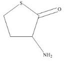 DL-Homocysteine Thiolactone標準品