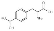 4-硼基-DL-苯丙氨酸標準品