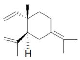 δ-欖香烯對照品