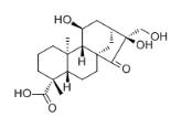 Adenostemmoic acid D對照品
