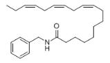 N-Benzyllinolenamide對照品
