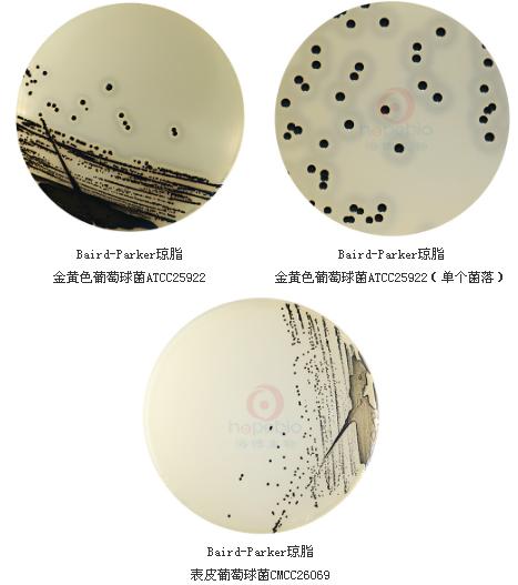 Baird-Parker瓊脂基礎(chǔ)顆粒