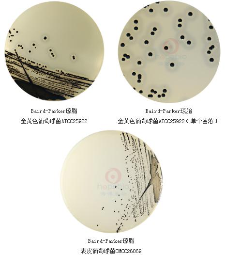 Baird-Parker瓊脂基礎顆粒