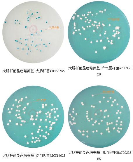 大腸桿菌顯色培養(yǎng)基