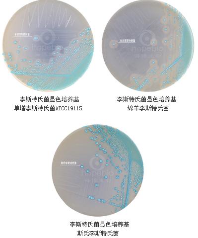 李斯特氏菌顯色培養基