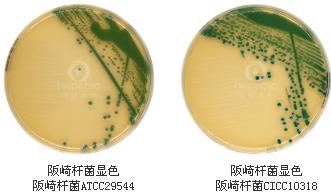 阪崎腸桿菌顯色平板9cm