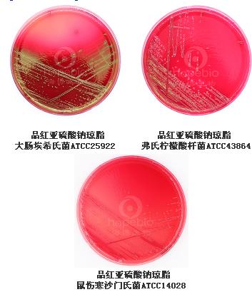 品紅亞硫酸鈉瓊脂平板（9cm）