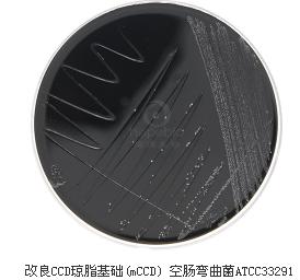改良CCDA瓊脂平板