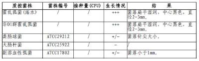四號(hào)瓊脂平板
